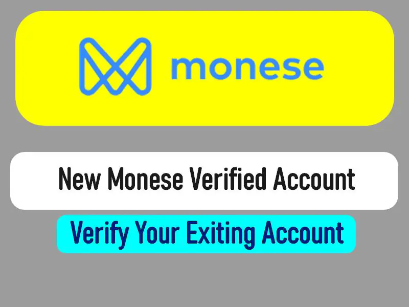 Monese Business Account / identity verification